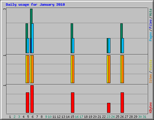 Daily usage for January 2010