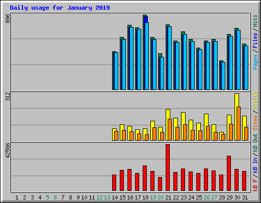 Daily usage for January 2019
