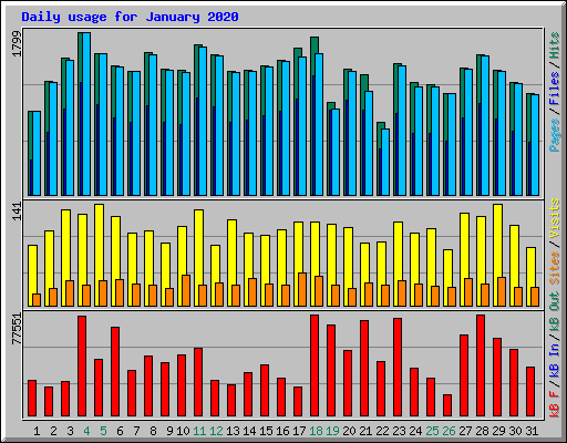 Daily usage for January 2020