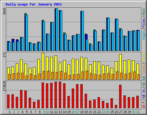 Daily usage for January 2021