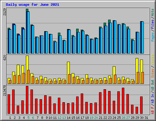 Daily usage for June 2021