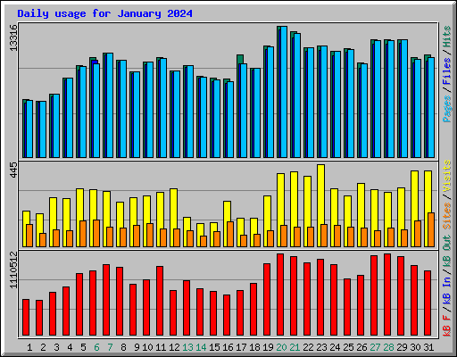 Daily usage for January 2024