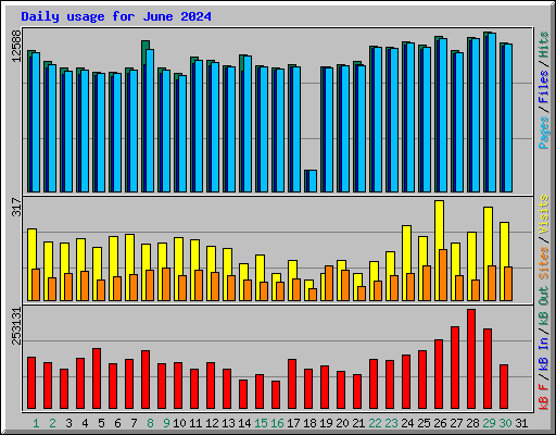 Daily usage for June 2024