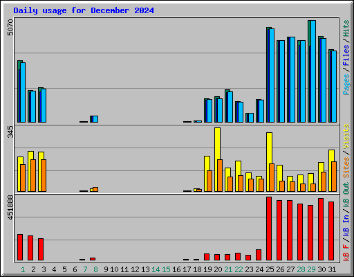 Daily usage for December 2024