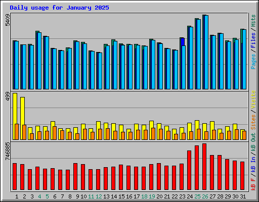 Daily usage for January 2025