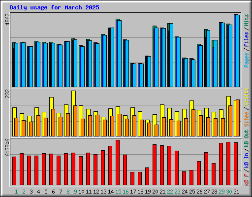 Daily usage for March 2025