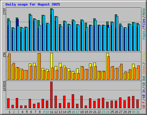 Daily usage for August 2025