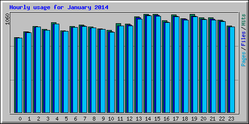 Hourly usage for January 2014