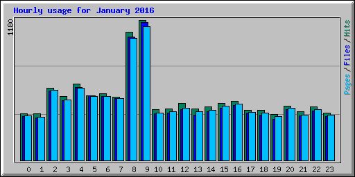 Hourly usage for January 2016