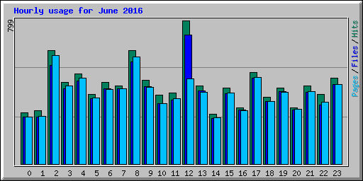 Hourly usage for June 2016