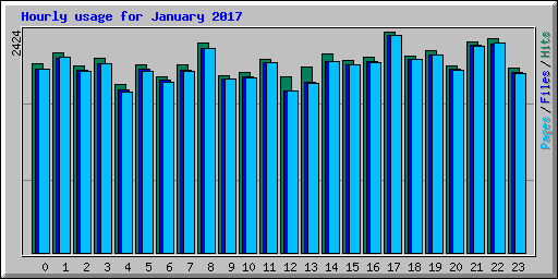 Hourly usage for January 2017