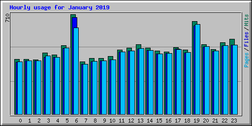 Hourly usage for January 2019