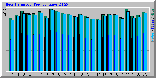 Hourly usage for January 2020