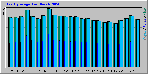 Hourly usage for March 2020