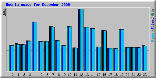 Hourly usage for December 2020