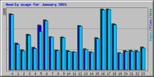 Hourly usage for January 2021
