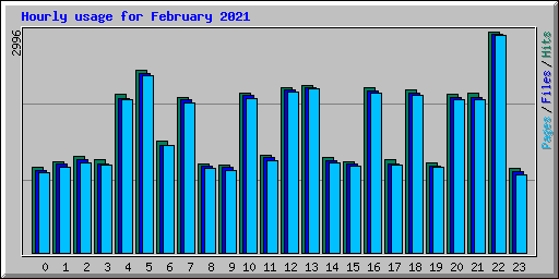 Hourly usage for February 2021