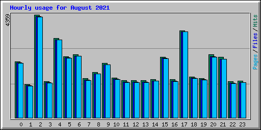 Hourly usage for August 2021