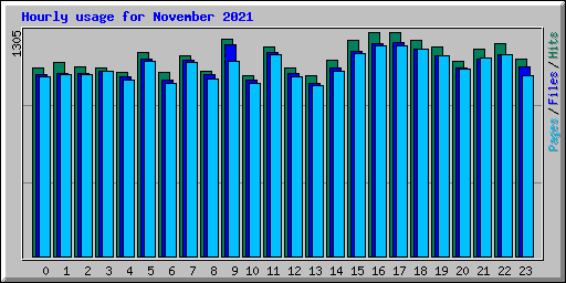 Hourly usage for November 2021
