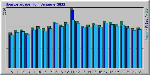 Hourly usage for January 2022