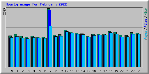 Hourly usage for February 2022