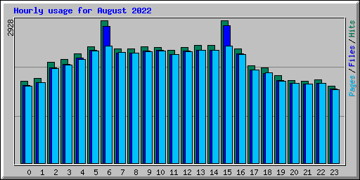 Hourly usage for August 2022
