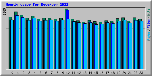 Hourly usage for December 2022
