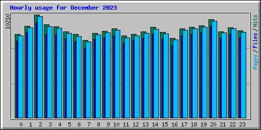 Hourly usage for December 2023