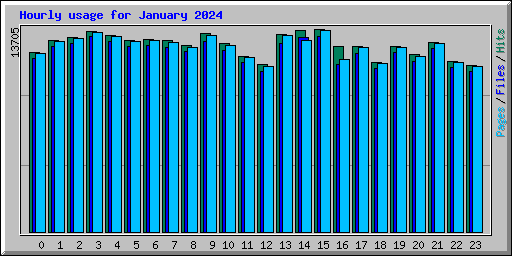 Hourly usage for January 2024