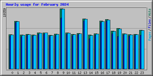 Hourly usage for February 2024