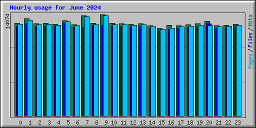 Hourly usage for June 2024