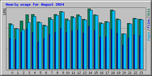 Hourly usage for August 2024
