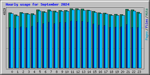 Hourly usage for September 2024