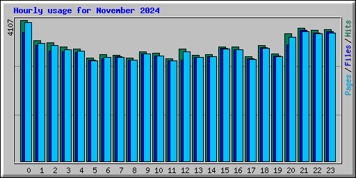 Hourly usage for November 2024