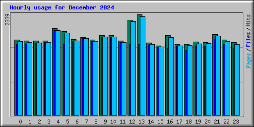 Hourly usage for December 2024