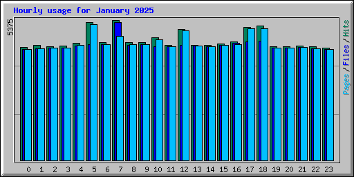 Hourly usage for January 2025