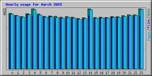 Hourly usage for March 2025