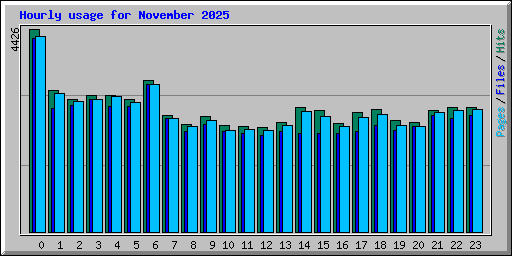 Hourly usage for November 2025