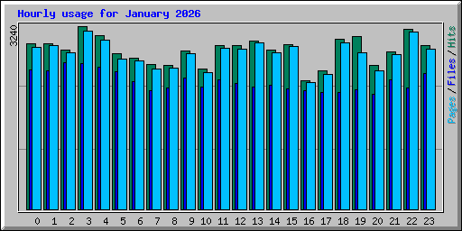 Hourly usage for January 2026