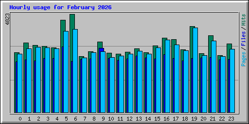 Hourly usage for February 2026
