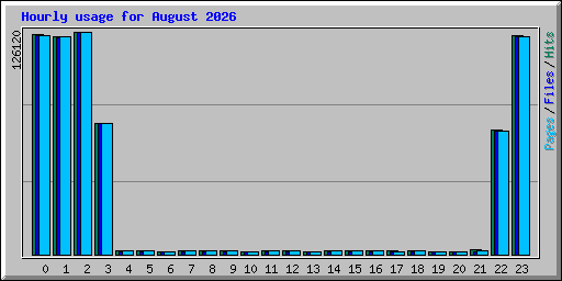 Hourly usage for August 2026